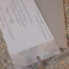 Butterfly paper with ribbon and silver envelope sleave wedding invitation