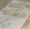 Orchid overlay wedding invitation